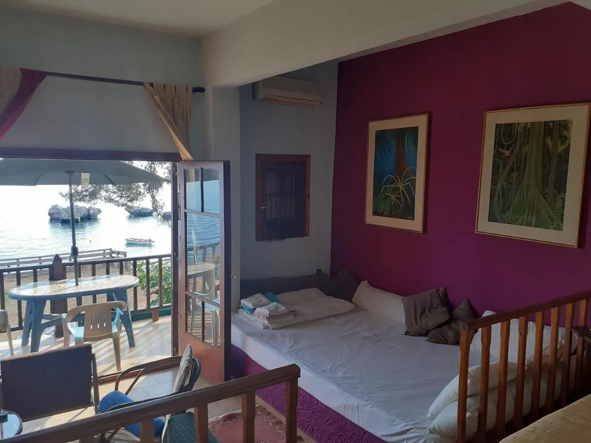 Traditional Guest House Agia Paraskevi  Apartment Agia Paraskevi (Kassandra)